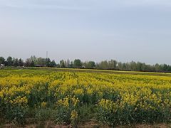 -汉长安城未央宫国家考古遗址公园