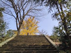 -佛荫寺