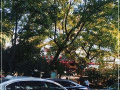 -杭州西湖风景名胜区-满觉陇四眼井