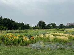 -汉长安城未央宫国家考古遗址公园