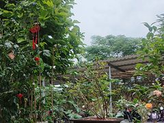 -头上红煨盐鸡·非遗院子餐厅