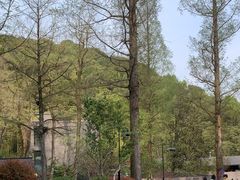 -东明山森林公园