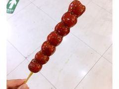 -和禄德冰糖葫芦