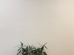 -乐老大耳道·可视采耳·禅洗(大成直营店)