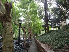 -浙江大学(玉泉校区)