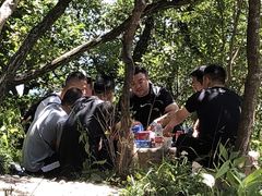 -牛背梁国家森林公园