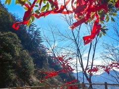 -罗田天堂寨风景区