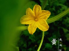 -白塘生态植物园