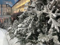 -世界之窗阿尔卑斯冰雪世界