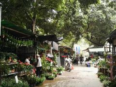 -桂林市花鸟市场