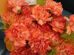 -Native Flower 莱提花艺(南海新天地广场店)