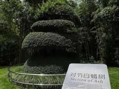 -苏州河梦清园环保主题公园