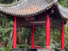 -深圳国际园林花卉博览园