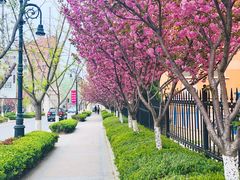 -大连理工大学(凌水校区)