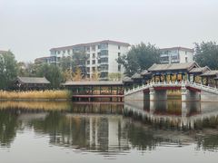 -西海子公园