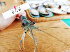 -Thai Basil罗勒叶泰式餐厅(时代天街店)