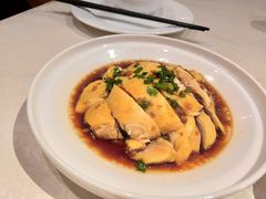 -苔圣园酒家(尊木汇国际艺术广场店)