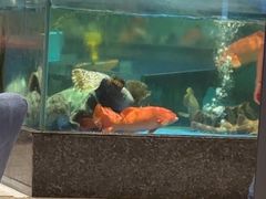 -聚福宝合苑食府(南头镇店)