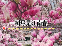 -堤角公园