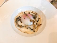 -蝶舍·MAISON PAPILLON