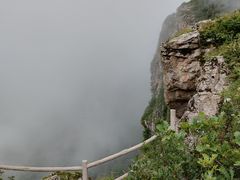 -牛背梁国家森林公园