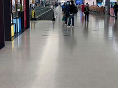-LV路易威登(大兴国际机场店)