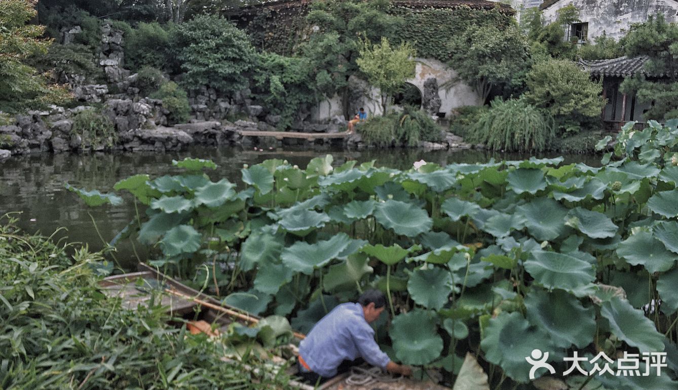 1元💰游苏州园林📷市井中的秘密花园——艺圃