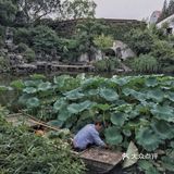 1元💰游苏州园林📷市井中的秘密花园——艺圃