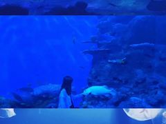 -成都浩海立方海洋公园