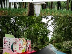 -老君堂公园
