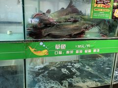 水产区-李二鲜鱼(水晶店)