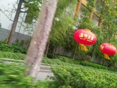 -观唐（国际）度假村温泉