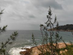 -广东惠东海龟国家级自然保护区