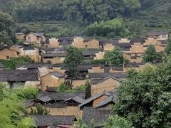 -杨家堂村