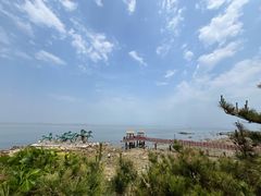 -养马岛旅游度假区