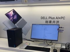 -戴尔 DELL官方旗舰店·售后维修站(总店)