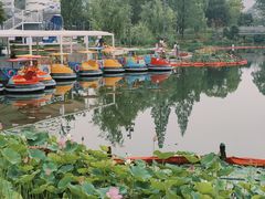 -宁波儿童公园(鄞州区)