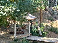 -石家庄市动物园