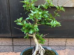 -みかわ是山居