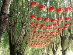 -北戴河集发农业梦想王国