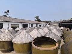 -苏州市吴中区光福窑上花果蜜饯厂