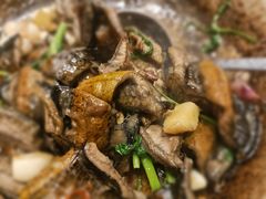 -七寸飝大饭店(马场店)