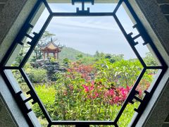 -顺峰山公园