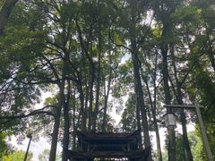 -青城山