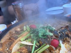 -老板恋上鱼(恒隆广场店)