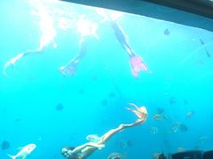 -瑞德姆美人鱼海底演艺主题餐厅(亚龙湾店)