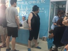 -纳吉亚猫专科动物诊疗中心(蒋宅口分院)