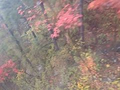 -洛阳白云山景区