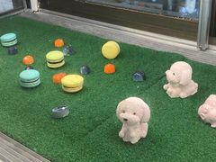 -海口香格里拉大酒店·大堂吧