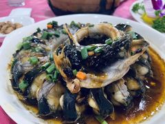 -根哥美食大雁岛(魁东一路店)